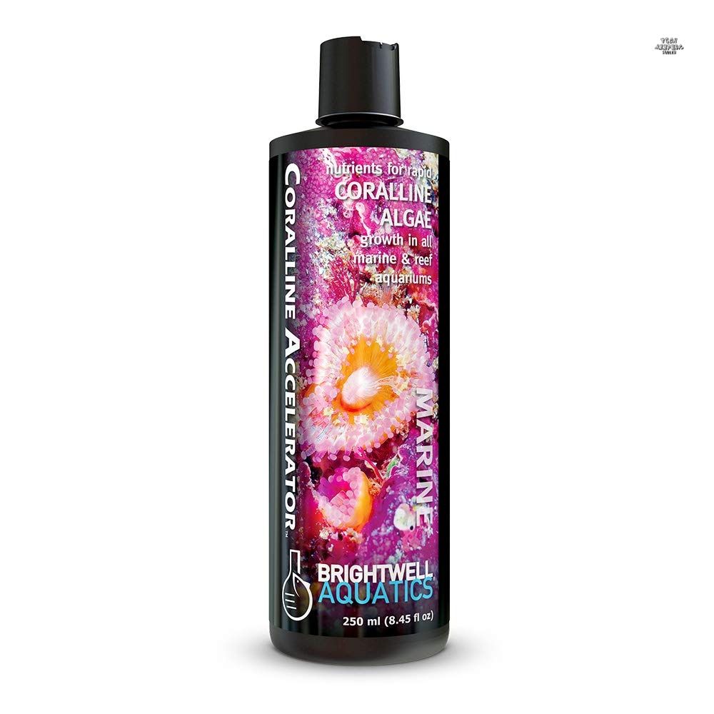 Coralline Accelerator | Brightwell Aquatics | 250ml