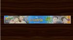 50 cm Mix Trix E (Export Quality) (5 Pcs)