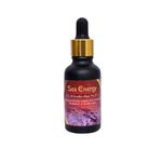 Sea Energy KH Coralline Algae 