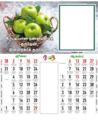 Design No: TPP 2323 (F&B)