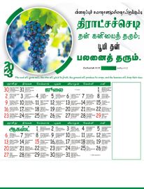 Design No: TPP 2306