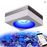 PopBloom RL90 Wi-Fi Controlled Saltwater Reef Aquarium Light
