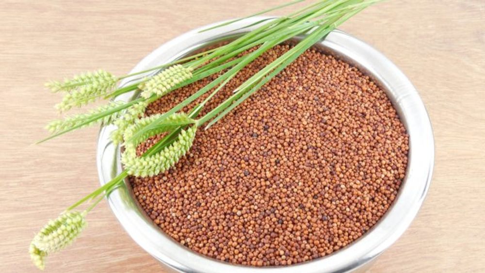 Ragi Flour 500gm