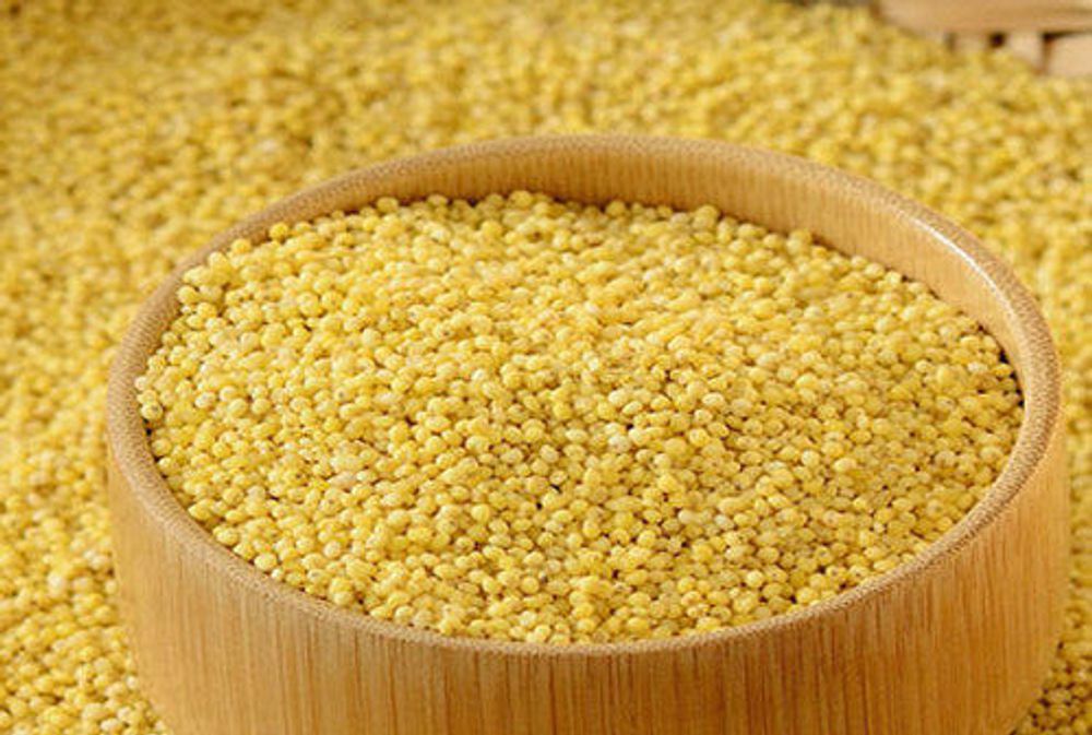 Thinai Rice 500gm