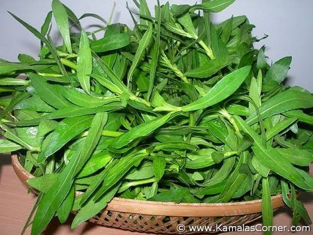 Ponnaganni keerai