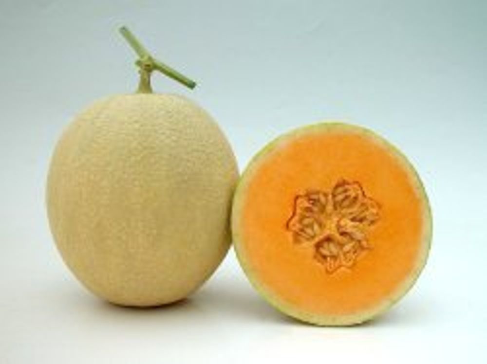 Musk Melon 1 kg