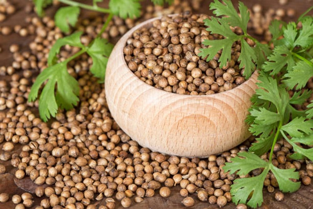 Coriander 250gm
