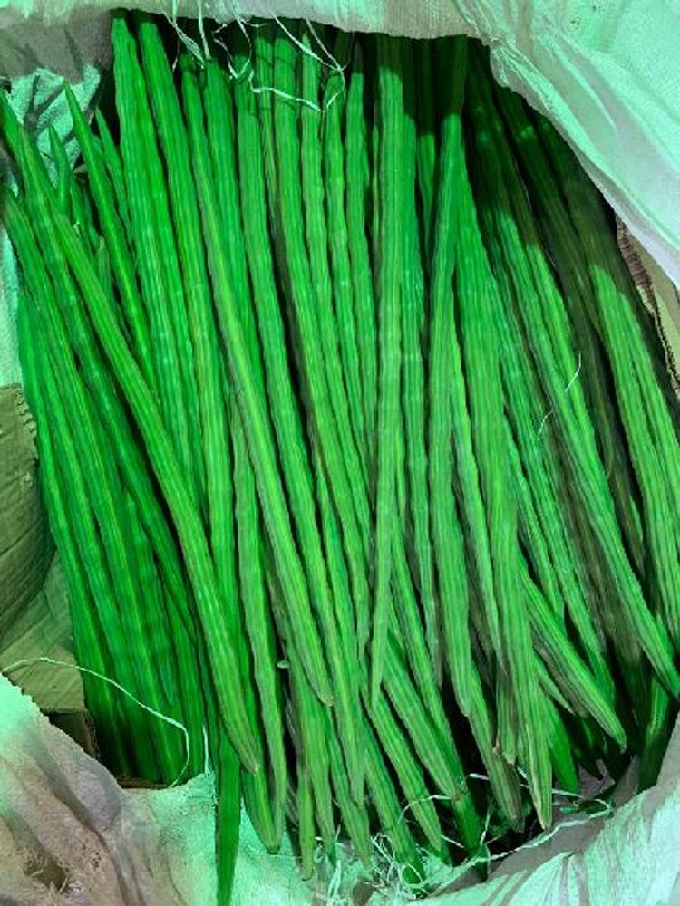 Drumstick 100 gms