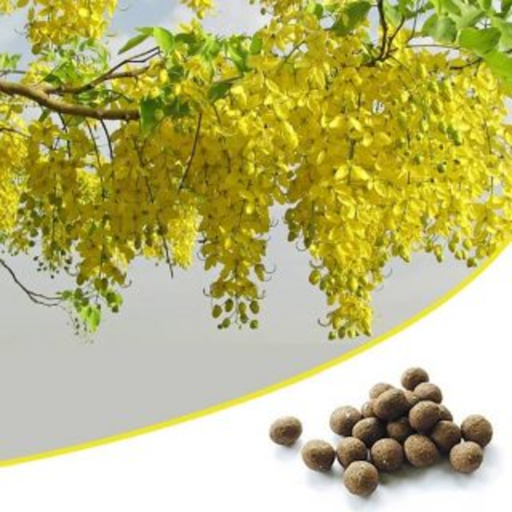 Just Throw and Grow Tree Seed balls - 100 Seed balls