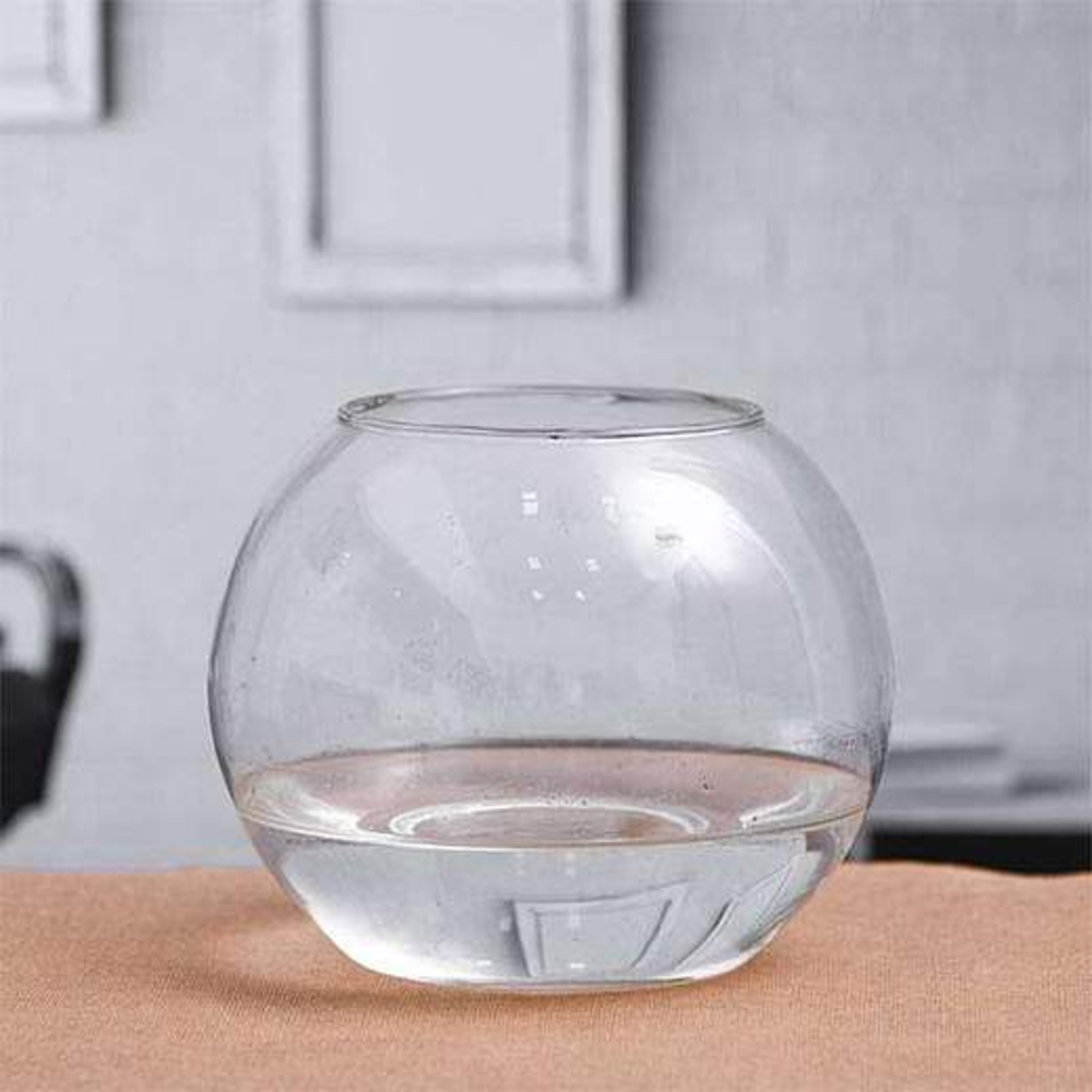 3.5 inch (8.8 cm) Round Terrarium Glass Vase without Rim (5 Inch (12.7 cm) Ht.)