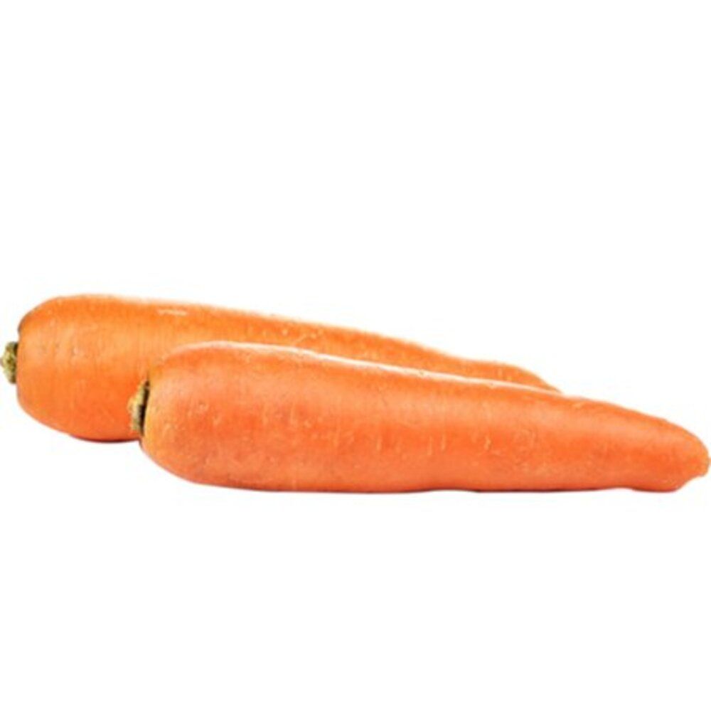 Carrot
