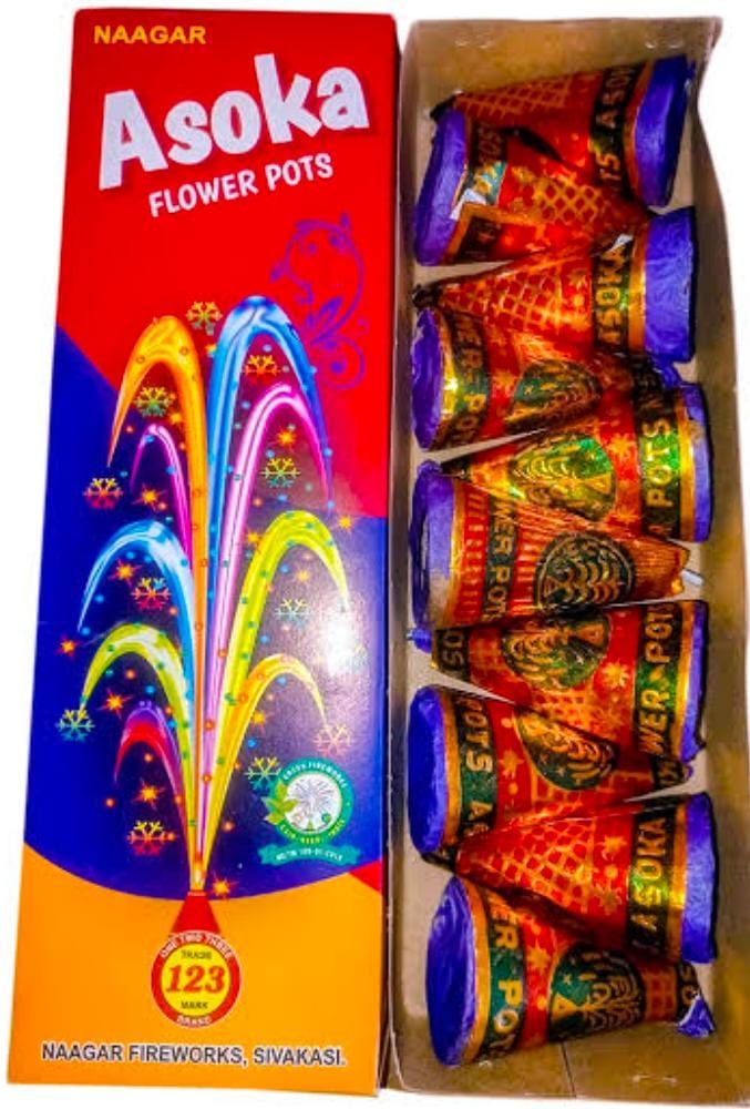 FLOWER POTS ASHOKA