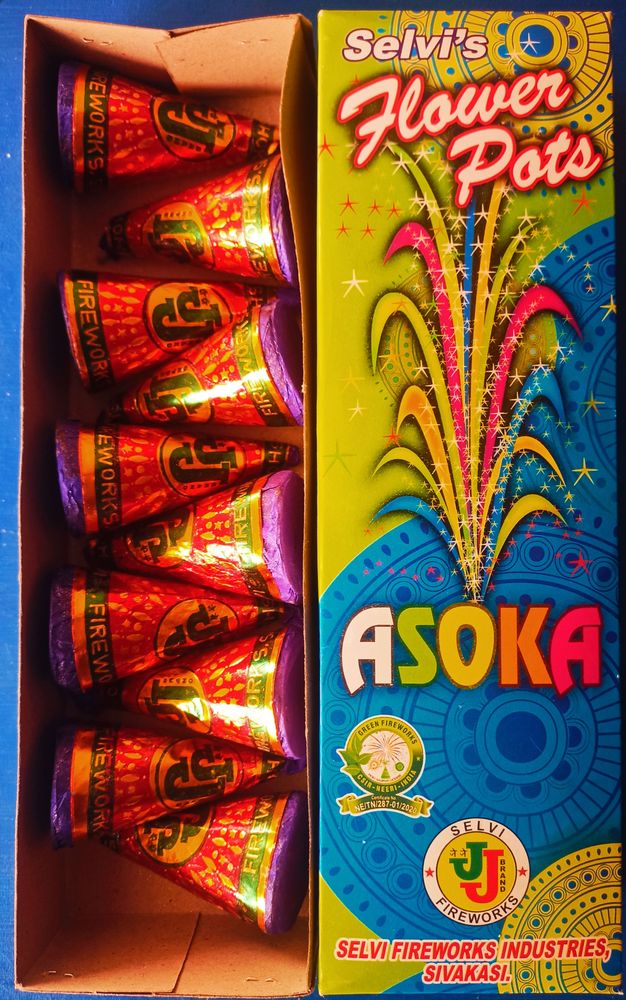 Flower Pot Ashoka (10 PCS - 1Box)