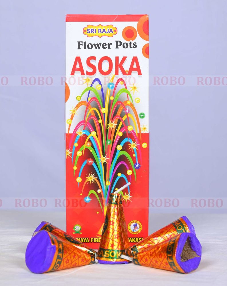 Flower Pot Ashoka