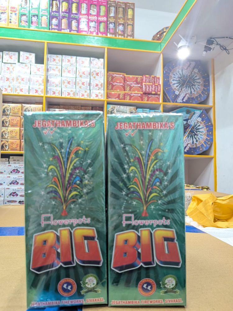 Flower Pot Big (10 Pcs)