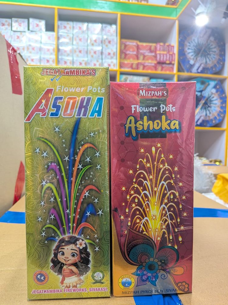 Flower Pot Asoka (10 Pcs)