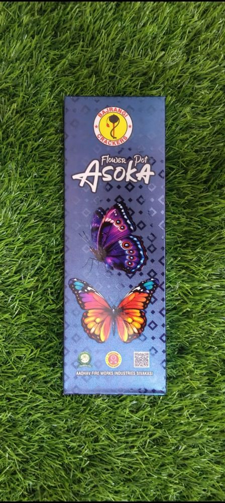 Flower Pots Asoka