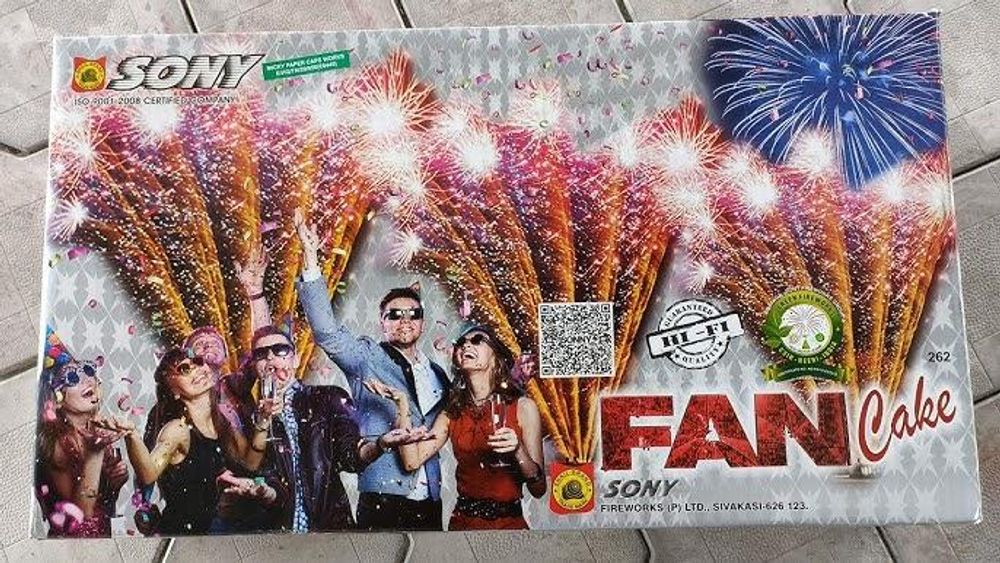 10×10 Fun sonny fancy 10×10 Fun sonny fancy