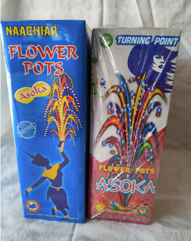 Flower Pot Asoka