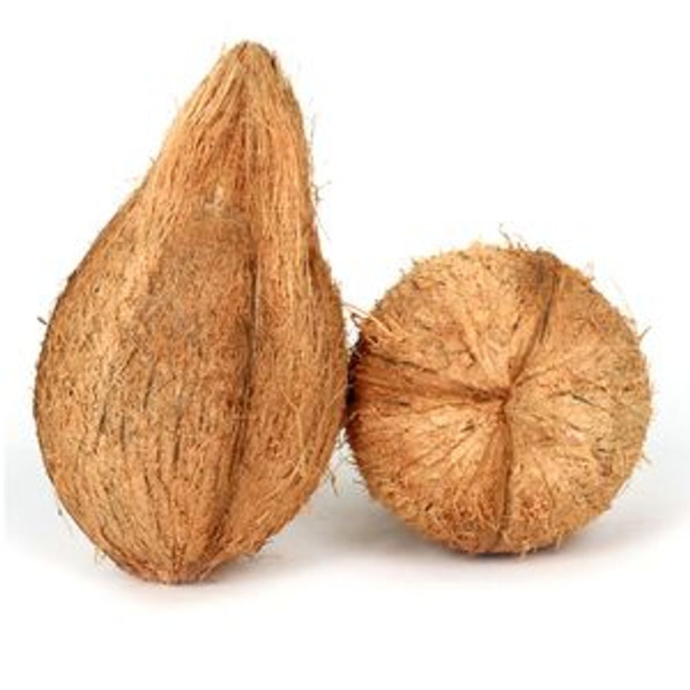Coconut Coconut