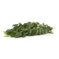 Fresho Curry Leaves