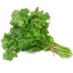 coriander leaves 100 gms