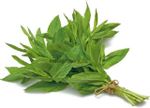 Greens Pulicha (Gongura) Keerai