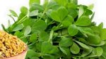 Greens(Venthaya Keerai)