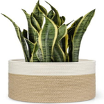 8 inch (20 cm) Eco friendly Jute Planter 