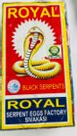 SNAKE SERPENT BIG