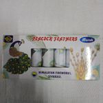 PEACOCK FEATHER FOUNTAIN (5 PCS)
