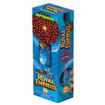 Royal Enfield