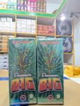 Flower Pot Big (10 Pcs)
