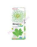 Green Leaf 4"-(Vanitha)