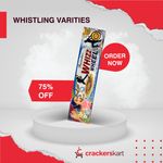 WHIZZ WHEEL(RAVINDRA)