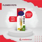 COLOURKOTI 2 IN 1