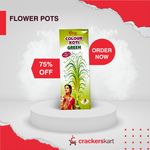 COLOURKOTI GREEN