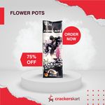 FLOWER POT ASOKA SRI VIJAY