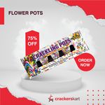 CRACKLING FLOWERPOT