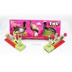 NEW EMU EGG (2PCS) SPECIAL PRICE