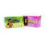 FLOWER POT SUPER DULEXE (2PCS)