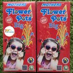 Flower Pot Big (10 Pcs)