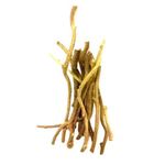Fresho Neem Giloy (Amruta Balli) - Organically Grown