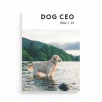 Dog CEO