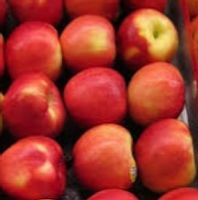 Imported Apple 