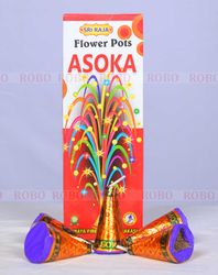 Flower Pot Ashoka