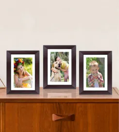 Rosewood Synthetic wood Set of 3 Table Photo Frame