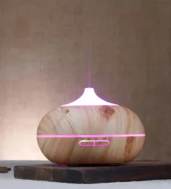 Lightwood 2 in 1 Ultrasonic Aroma Diffuser Humidifier with 4 Assorted Fragrance Oils