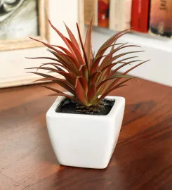 Red Polyester Artificial Succulent Bonsai with Ceramic Pot