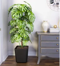 Black Polymer Toyo Medium Floor Planter